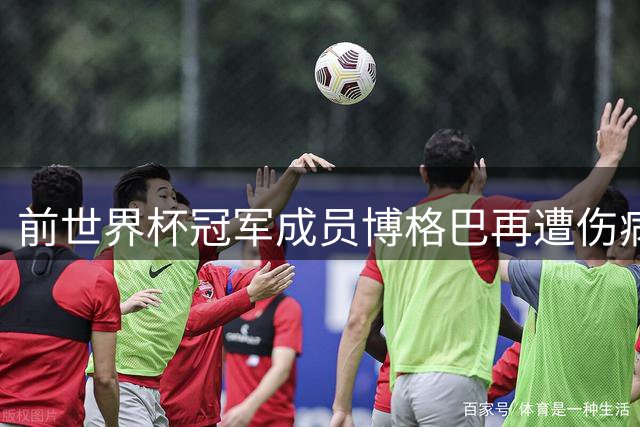 前世界杯冠军成员博格巴再遭伤病 摩纳哥或提前解约